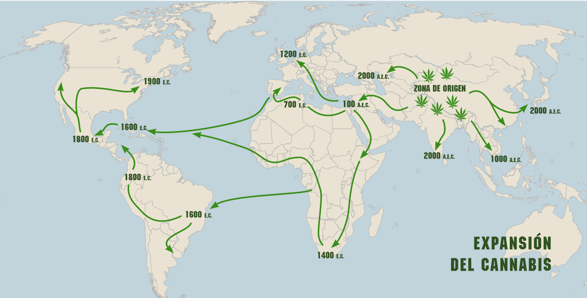 El Origen del Cannabis