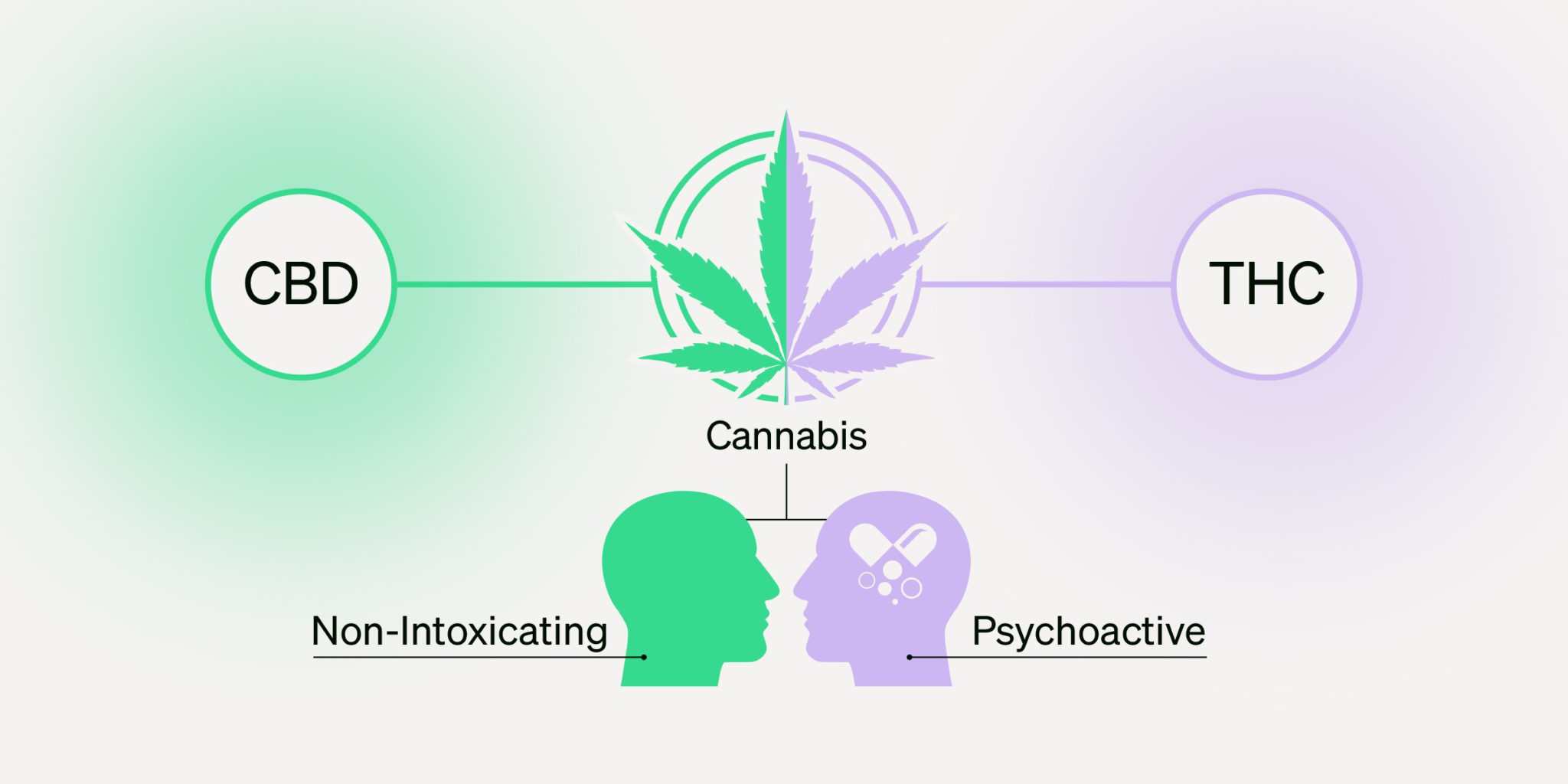 CBD vs THC