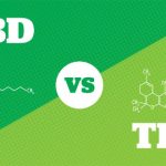 CBD vs THC