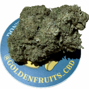 Amnesia Rock