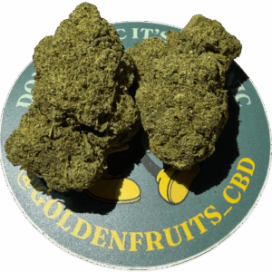 Gorilla Glue