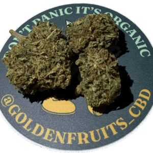 Orange Bud
